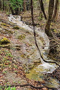 Mountain Stream in the Jefferson National Forest, VA