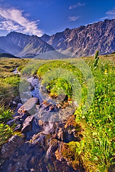 Mountain stream in Kobylia dolina valley in High Tatras during summer