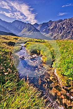 Mountain stream in Kobylia dolina valley in High Tatras during summer