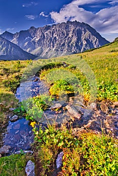 Horský potok v Kobylej doline vo Vysokých Tatrách počas leta
