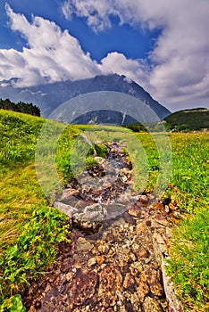 Mountain stream in Kobylia dolina valley in High Tatras during summer