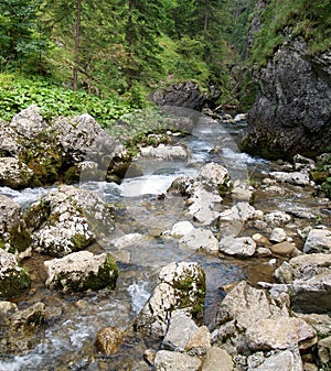 Horský potok v Kvačianské dolině, Slovensko.