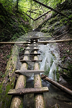 Mountain stream with ladder in canyon, Slovak Paradise, Slovakia