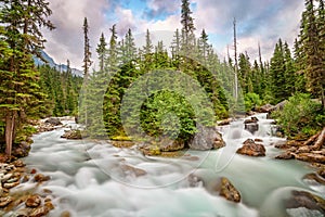 Mountain stream landscape in Glacier National park, Rocky Mountains, Bristish Columbia Canada