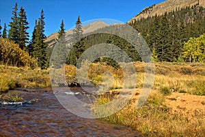 Mountain stream in late summer