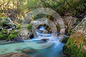 Mountain stream in the Lepena valley