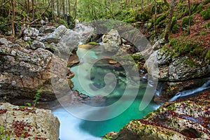 Mountain stream in the Lepena valley