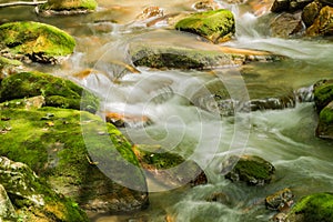 Mountain Stream and Moss Covered Rocks