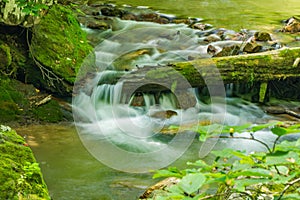 Mountain Stream and Moss Covered Rocks