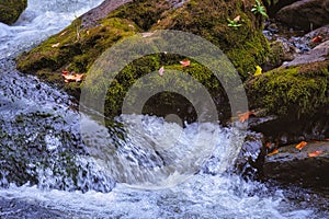 A mountain stream and moss on rocks.