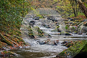 Mountain stream with mossy rocks