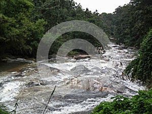 Mountain stream National Park captured