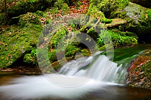 Mountain stream in the national park Sumava