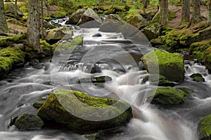 Mountain stream in the national park Sumava-Czech Republic