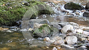 Mountain stream nature scene