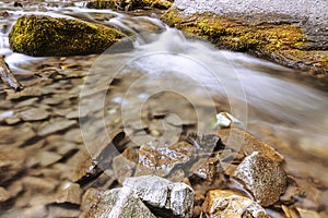 Mountain stream over the rocks