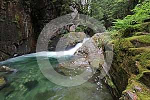 Mountain Stream in the Pacific Northwest