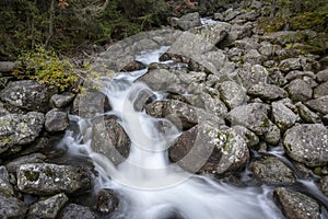 Mountain stream in the Popradske pleso area. Slovakia