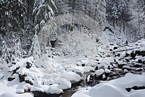 A mountain stream runs through snowy forest in the Transylvanian Alps.