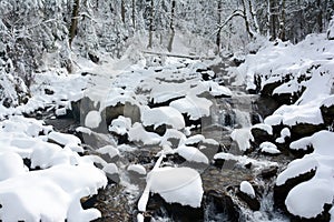 A mountain stream runs through snowy forest in the Transylvanian Alps.