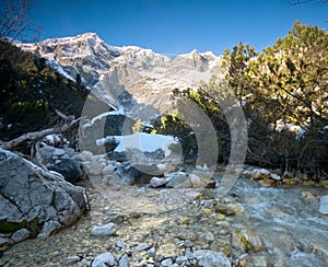 A mountain stream scenery