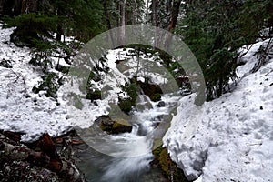 Mountain stream with snowbanks, trees