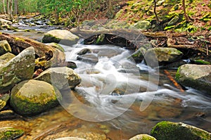Mountain stream in the spring
