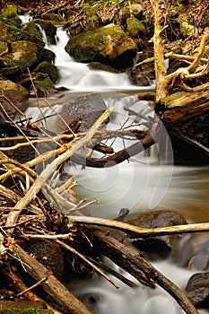 Mountain stream