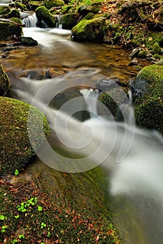 Mountain stream