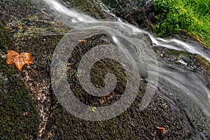 Mountain stream in the spring