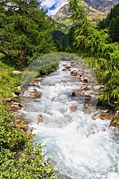 Mountain stream on summer