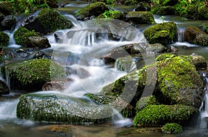 Mountain stream