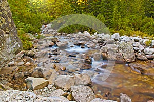 Mountain stream in the Tatry Mountains