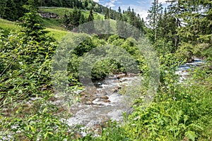 Mountain stream in Thomatal - Bundschuh, Austria