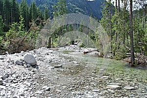 Mountain stream. A view of a mountain stream in National Park