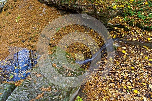 Mountain stream or water source in the wild. Gorge or canyon in the autumn forest. Background
