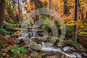 Mountain stream with waterfall in an autumn forest.