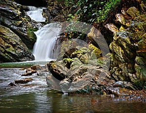 Mountain stream waterfall with stones and forest greenery