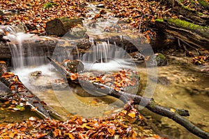 Mountain stream with waterfalls