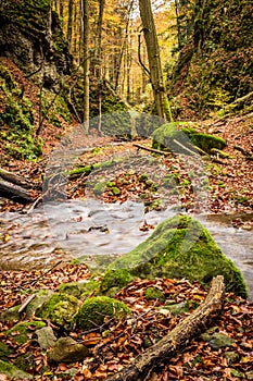 Mountain stream with waterfalls