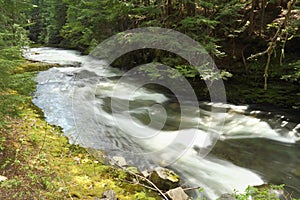 Mountain Stream, Whistler, British Columbia