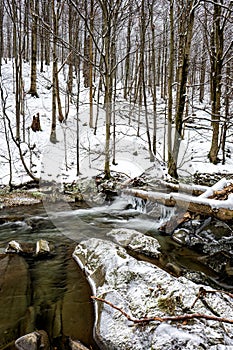 Mountain stream in winter scenery. Prowcza Stream, Bieszczady National Park, Carpathian Mountains, Poland. One of the most popular