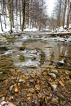 Mountain stream in winter scenery. Prowcza Stream, Bieszczady National Park, Carpathian Mountains, Poland. One of the most popular