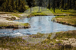 Mountain Stream, Yellowstone National Park