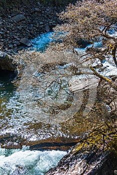 Mountain streams flowing water in the woods and atomized water