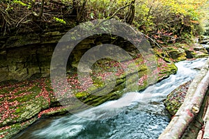 Mountain streams flowing water in the woods and atomized water