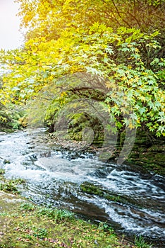 Mountain streams flowing water in the woods and atomized water