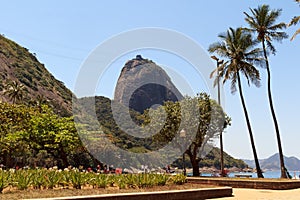 Mountain Sugarloaf square palm tree red beach, Rio de Janeiro