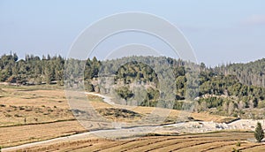 Mountain summer landscape