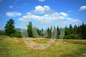 Summer meadow piles of hay